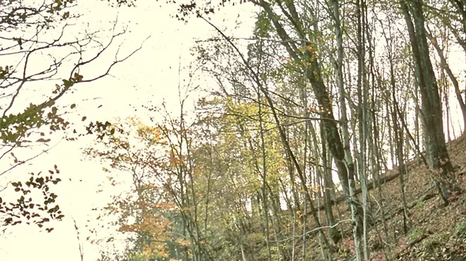 Image: Catskill Fall Foliage Adventure, Catskill Mountain Railroad, September-October