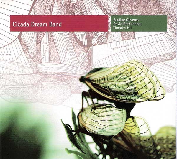 CD Review: Cicada Dream Band