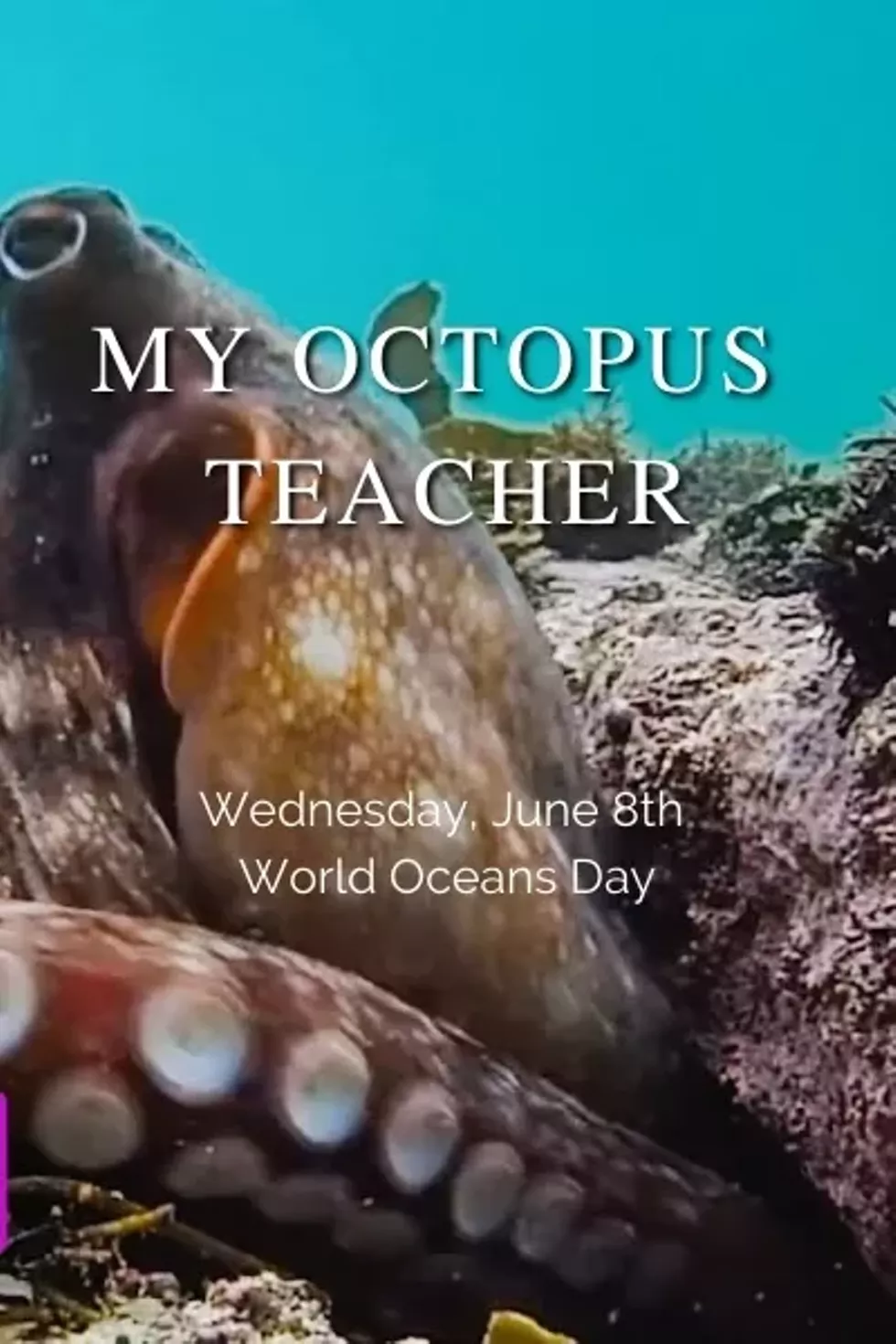 world_oceans_day_-_website_event_page.webp