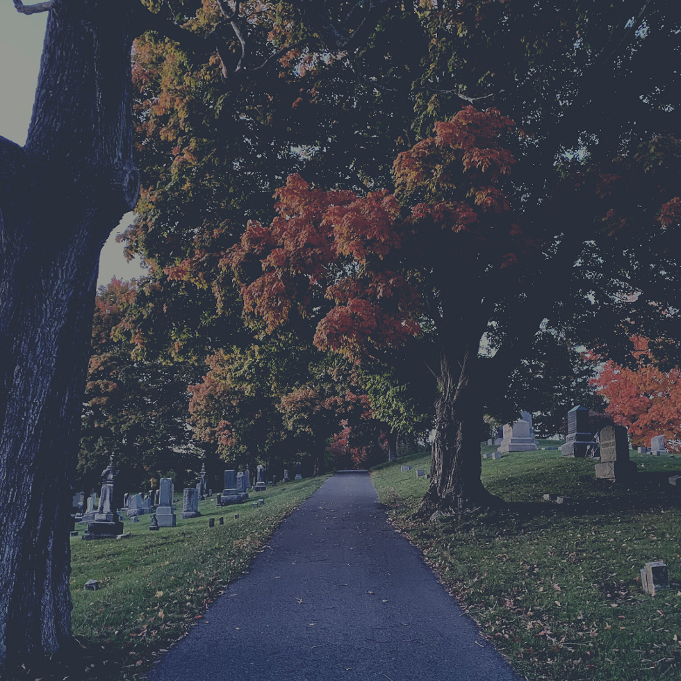 untitled_design_34_.png
