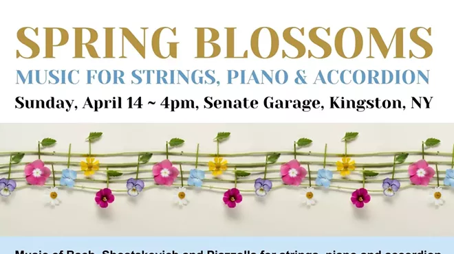 Image: Chamber Music concert