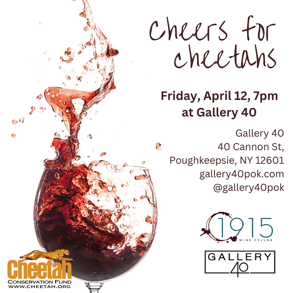 Cheers for Cheetahs - Special event