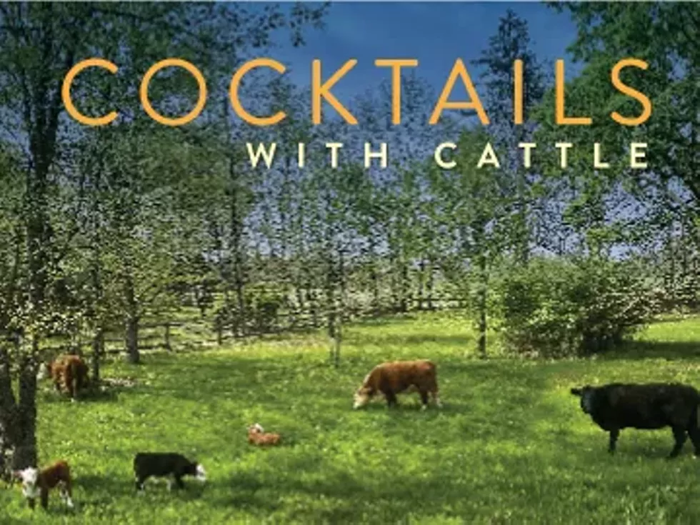 BenzWick Acres Miniature Herefords