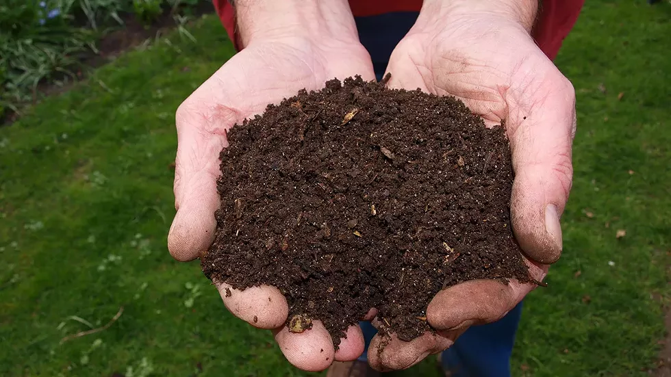 compost-soil.webp