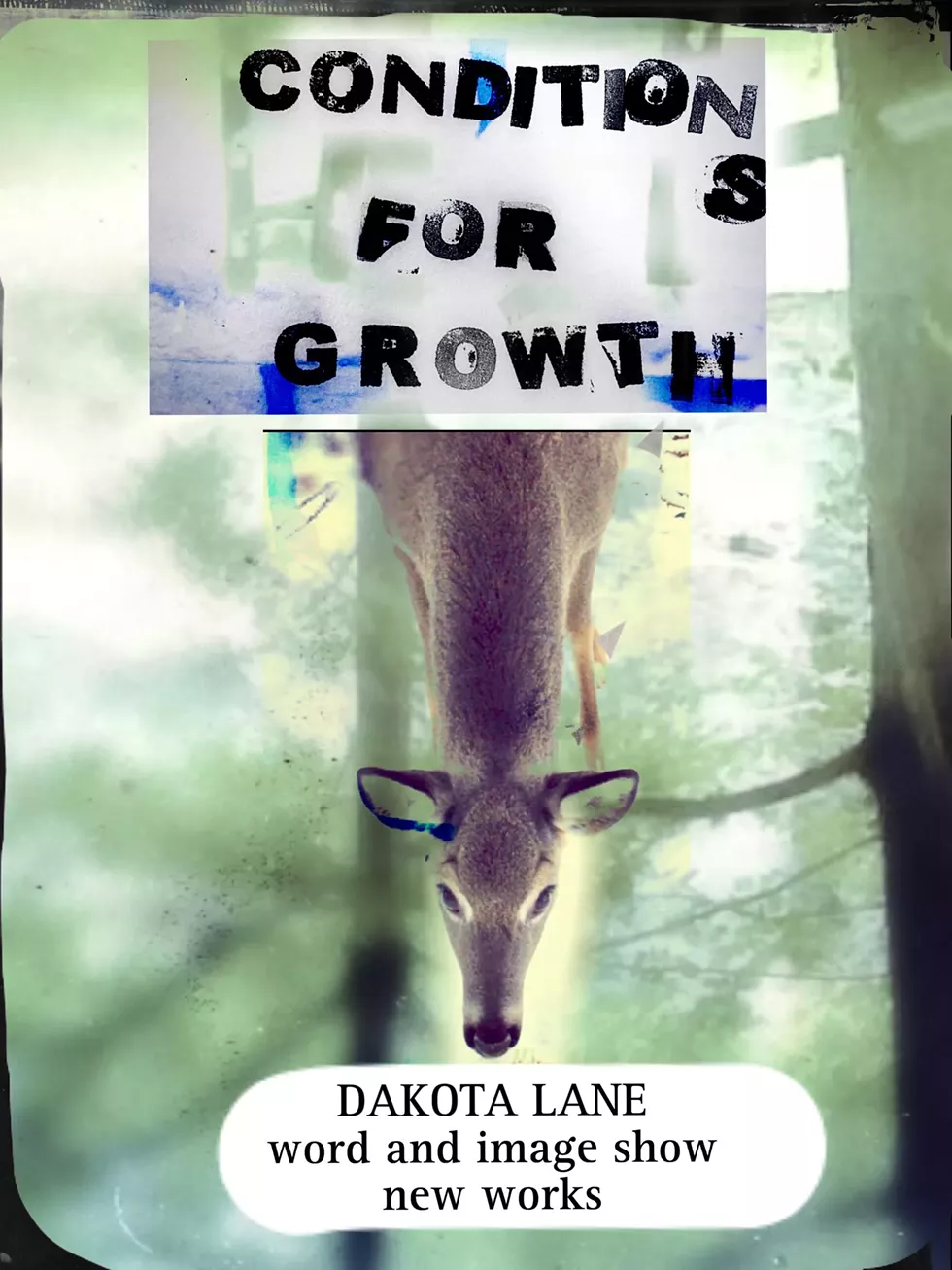 Dakota Lane new work