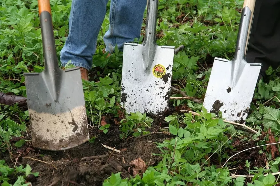 gardening-gardener-nursery-industry-craft-f7f380-1024.webp