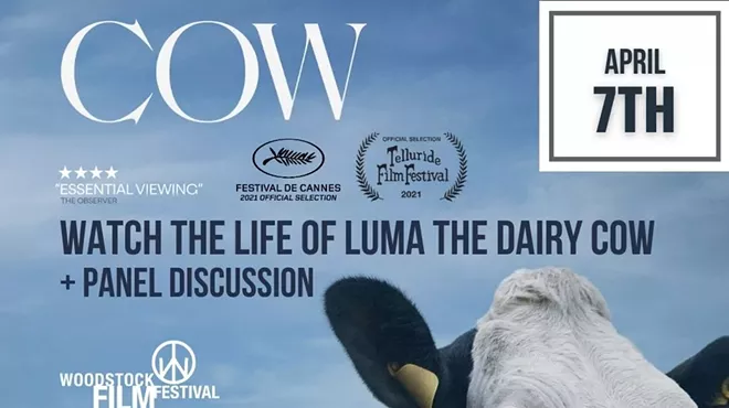 Image: COW Screening + Panel Discussion with Woodstock Farm Sanctuary