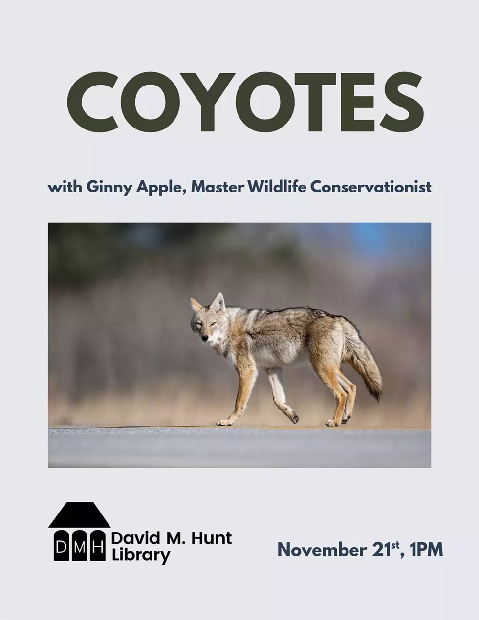 coyotes.webp