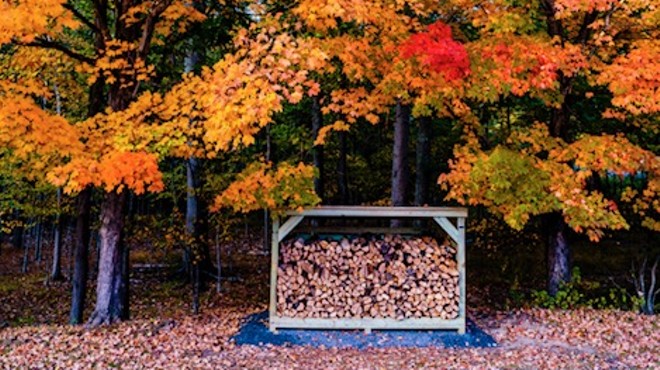 Cozy Contemplation: Firewood Offers a Year-Round Connection to the Cycles of Nature