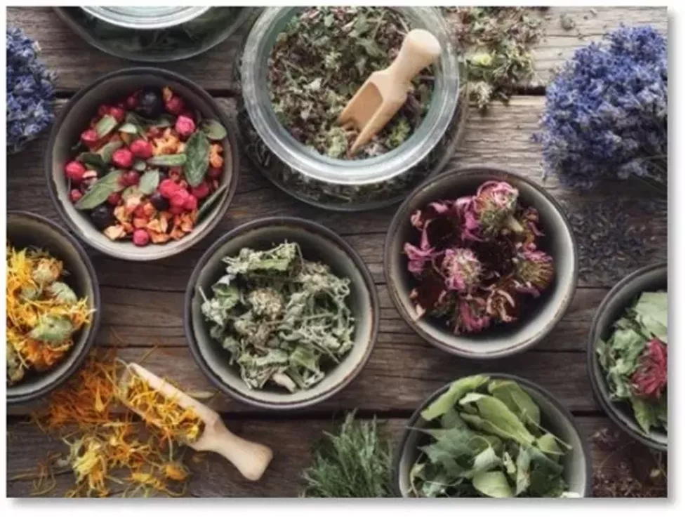 rockefeller-herbs-in-bowls.webp