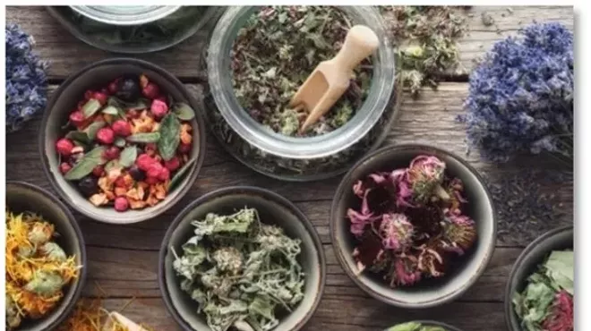 Image: Create and Cook: Sketching with Spring Greens