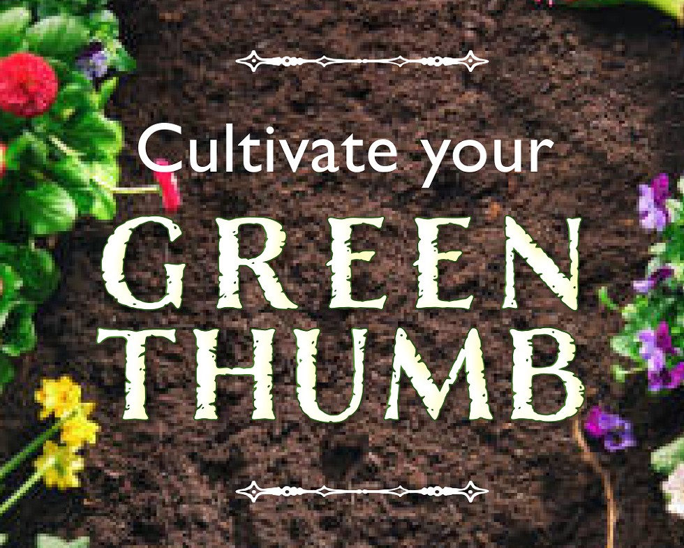 Cultivate Your Green Thumb at the Annual Master Gardeners' Spring Garden Day