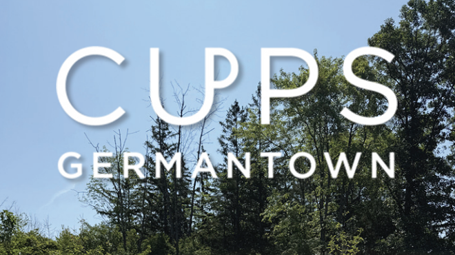 Image: Cups Coffee