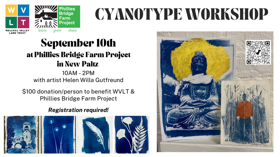 Cyanotype WOrkshop