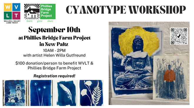 Image: Cyanotype Workshop
