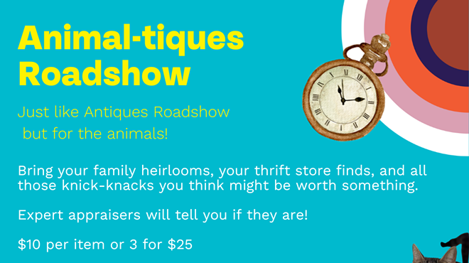 Image: DCSPCA Presents Animal-tiques Roadshow
