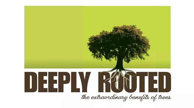 Image: Deeply Rooted