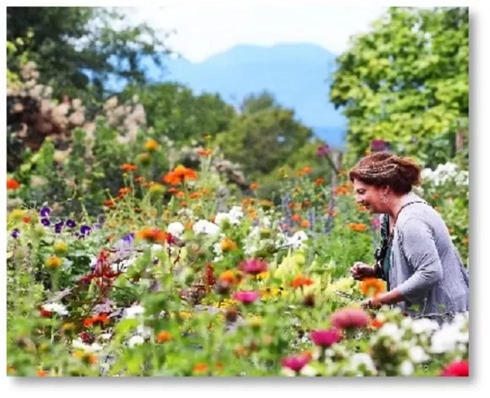 olana-art.webp