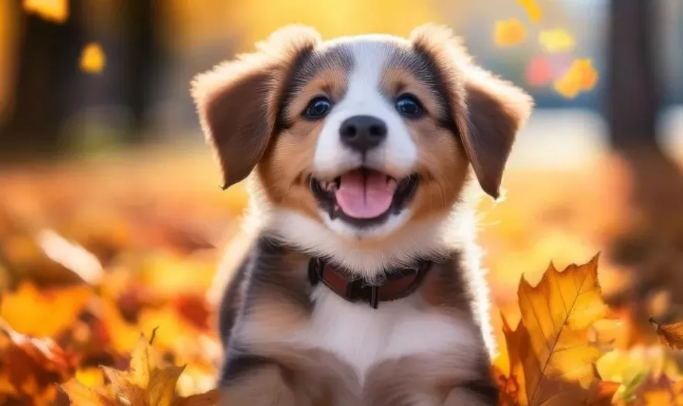 Prompt: Happy puppy playing in fallen leaves on a beautiful autumn day