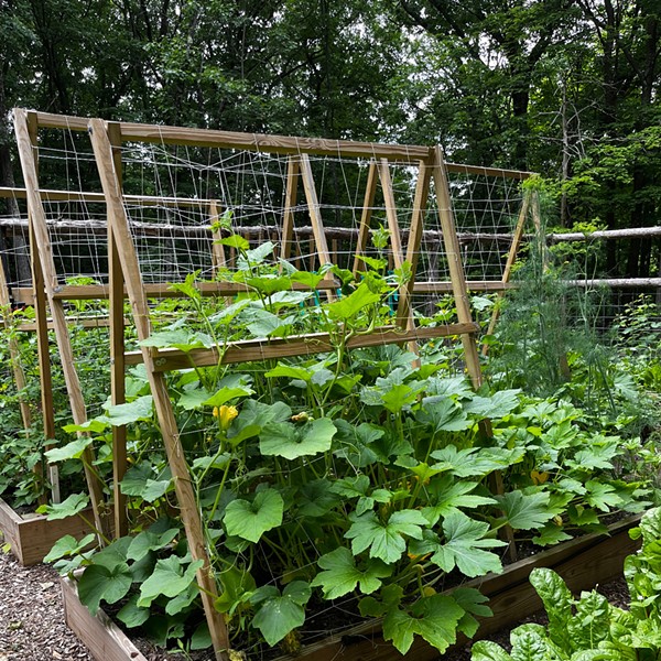 Dirty Gaia's Edible Gardens Tour: Food for Thought