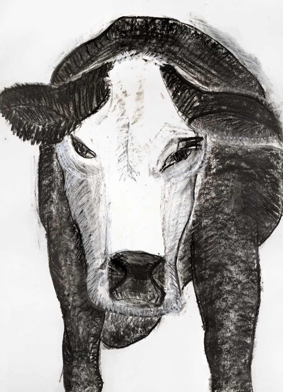 "Angry Mom Cow" c. 2013, graphite on paper (Deborah Masters)