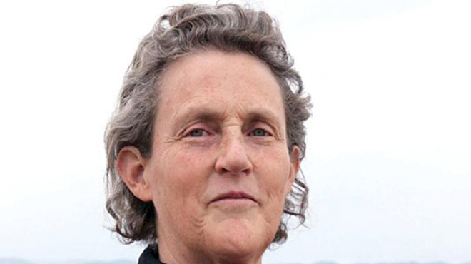 Image: Dr Temple Grandin