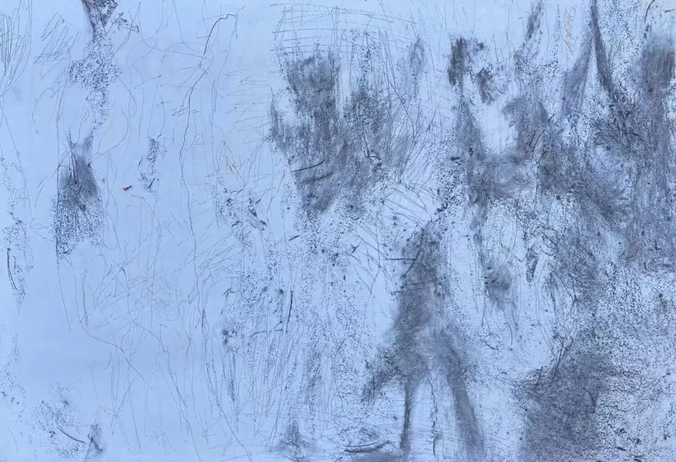 gummerson_shadow_trace_2025_graphite-charcoal-pastel-oil_pastel_on_paper_approx_36_x_60_in_copy_2.webp