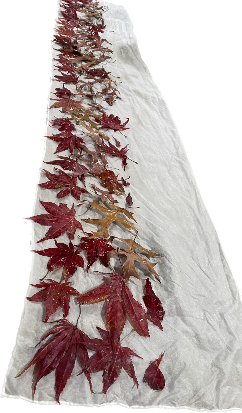 Fall Leave Silk Scraf