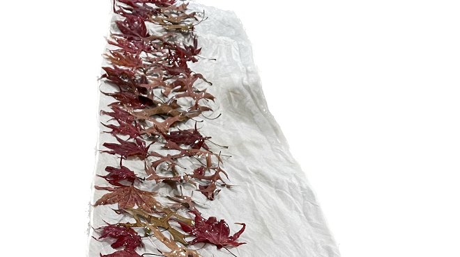 Image: Eco-Printed Fall Silk Scarf