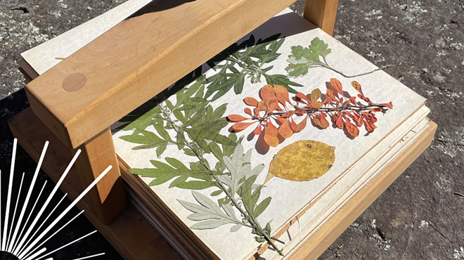 Image: Ecological Gardening Series: Crafting with Invasive Species