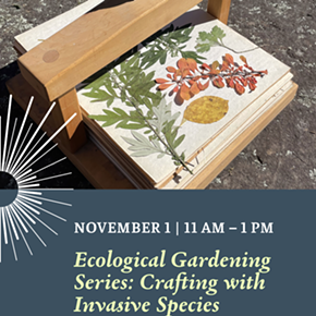 Image: Ecological Gardening Series: Crafting with Invasive Species