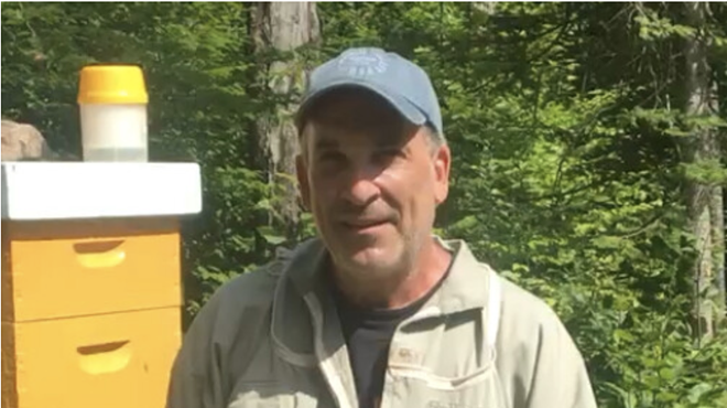 Image: Ecology Series: Pollinator Walk with Fox Farm Apiary