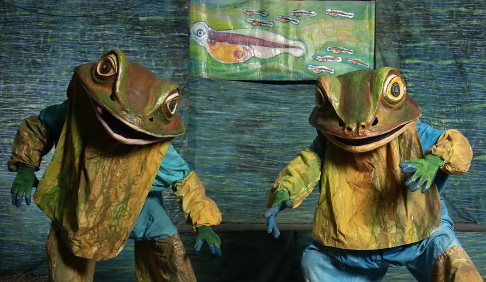 Arm of the Sea - The Frogs