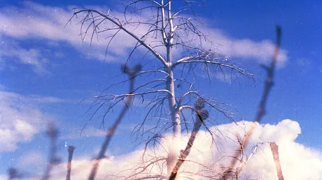 Image: "Everyday Oases," Melanie Gonzales, Photographer