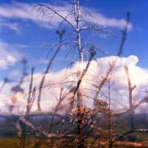Image: "Everyday Oases," Melanie Gonzales, Photographer