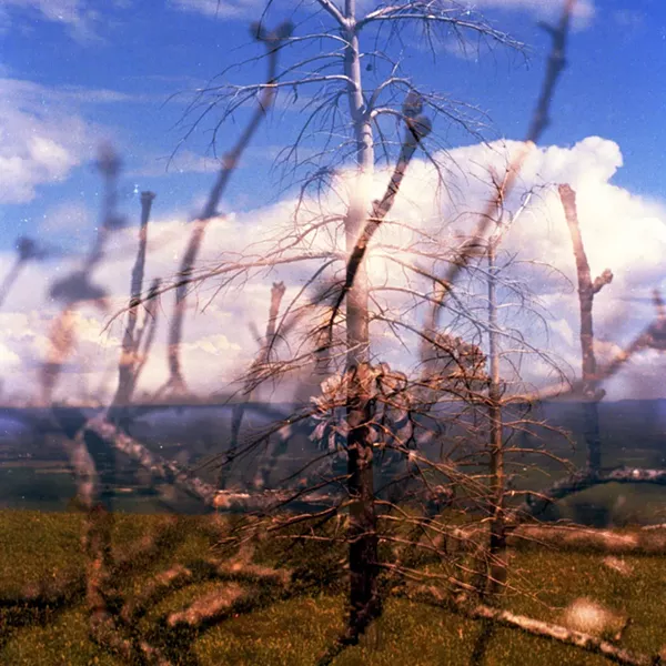 Image: "Everyday Oases," Melanie Gonzales, Photographer