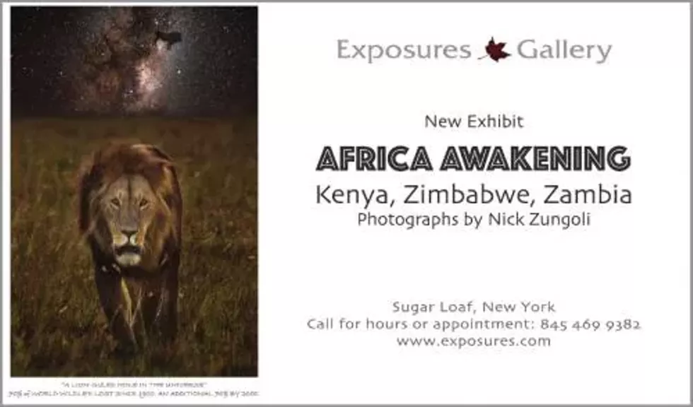New Exhibit, Africa Awakening- Kenya, Zimbabwe, Zambia- Photographs by Nick Zungoli.