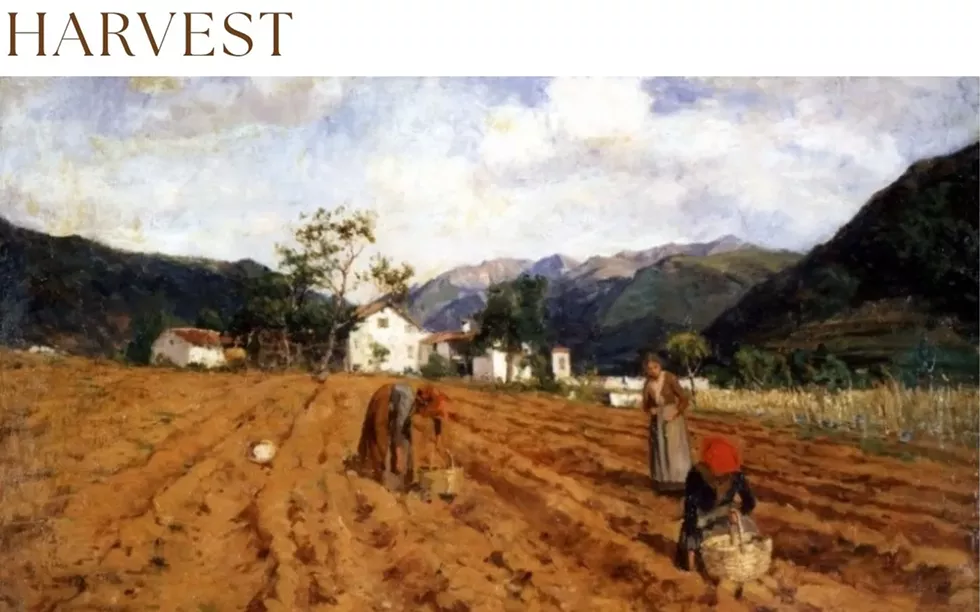 harvest__post_.webp