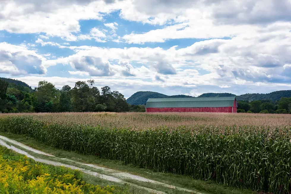 Farming in a Changing Climate