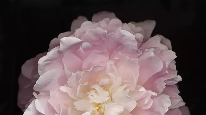 Image: Figure & Form