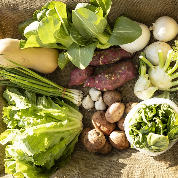 Find Your Hudson Valley CSA for 2023