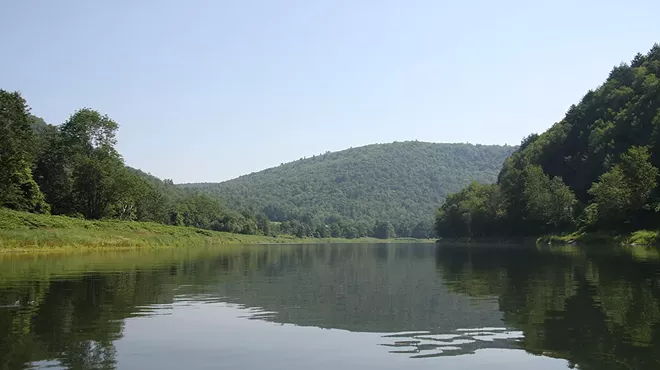 Image: Fish of the Delaware River