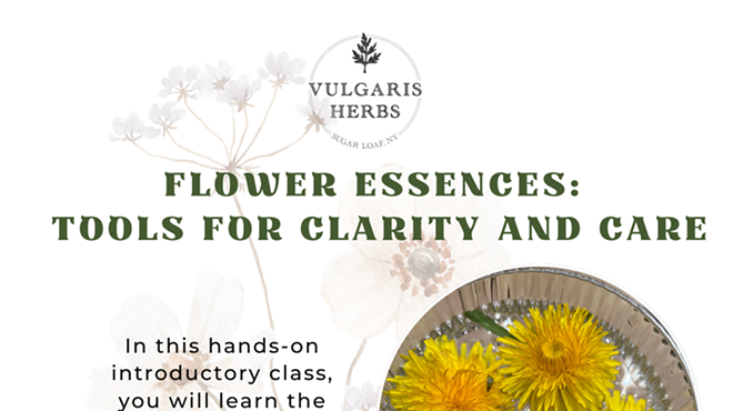 Image: Flower Essences: Tools for Clarity and Care, $45