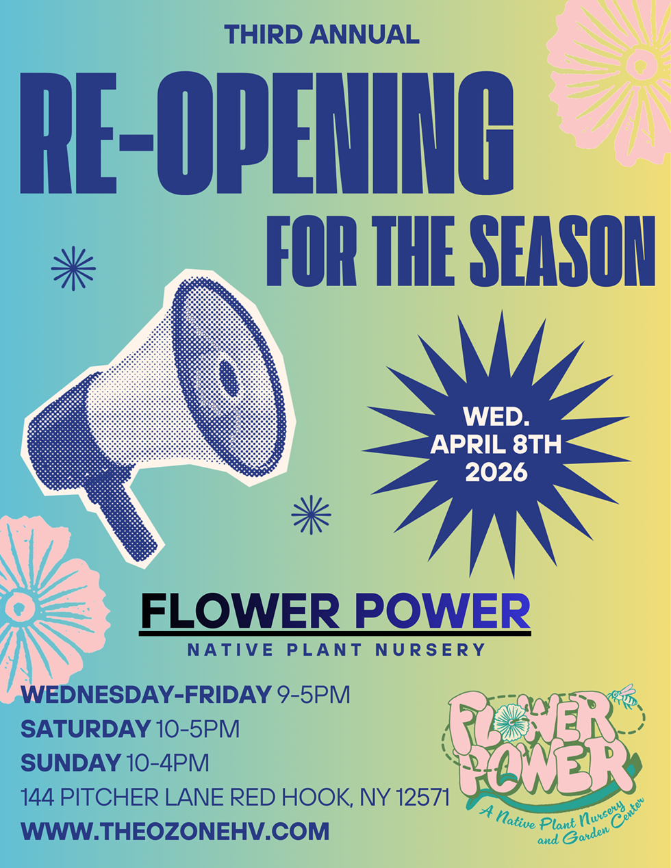 Flower Power Poster