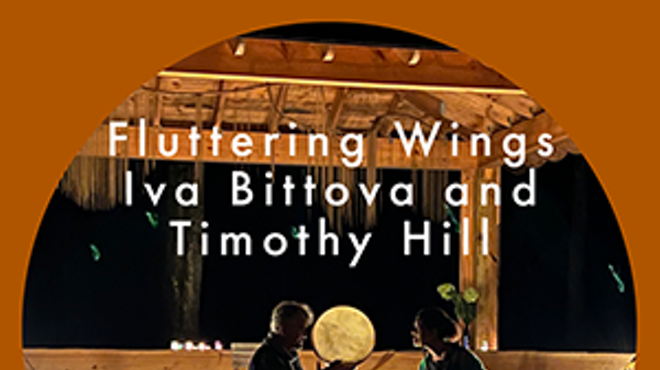 Image: Fluttering Wings by Iva Bittova & Timothy Hill