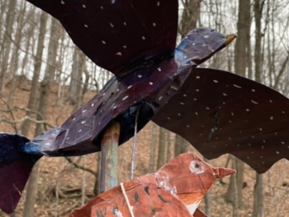 Flying Birds