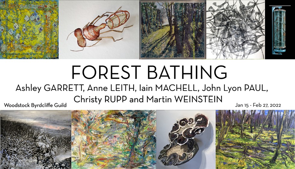 Forest Bathing with Ashley Garrett, Anne Leith, Iain Machell, John Lyon Paul, Christy Rupp and Martin Weinstein