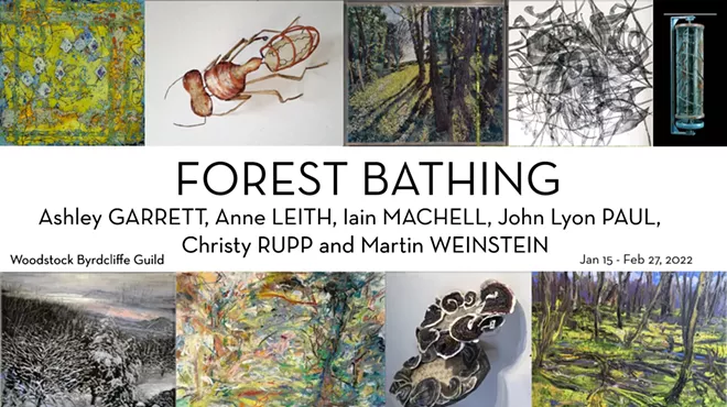 Image: Forest Bathing