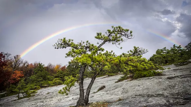 Image: Framing the Gunks - photographs by Nora Scarlett