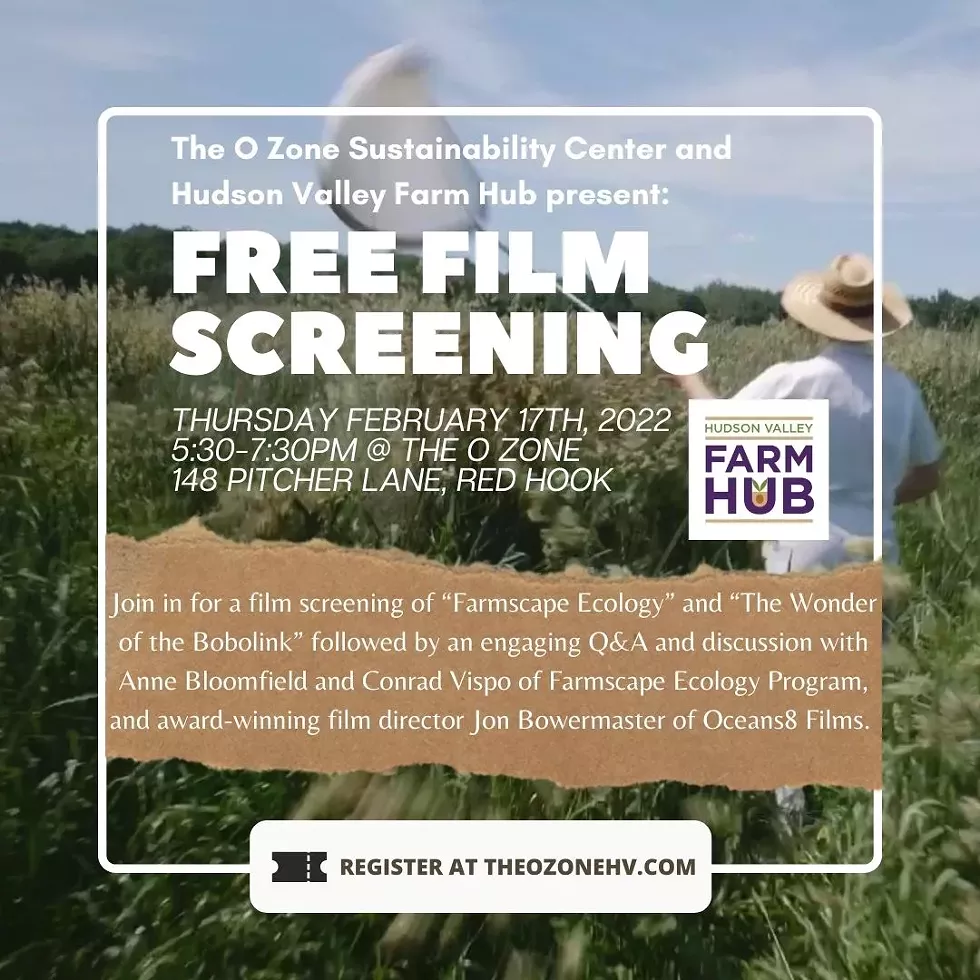 film_screening_2_1_.webp